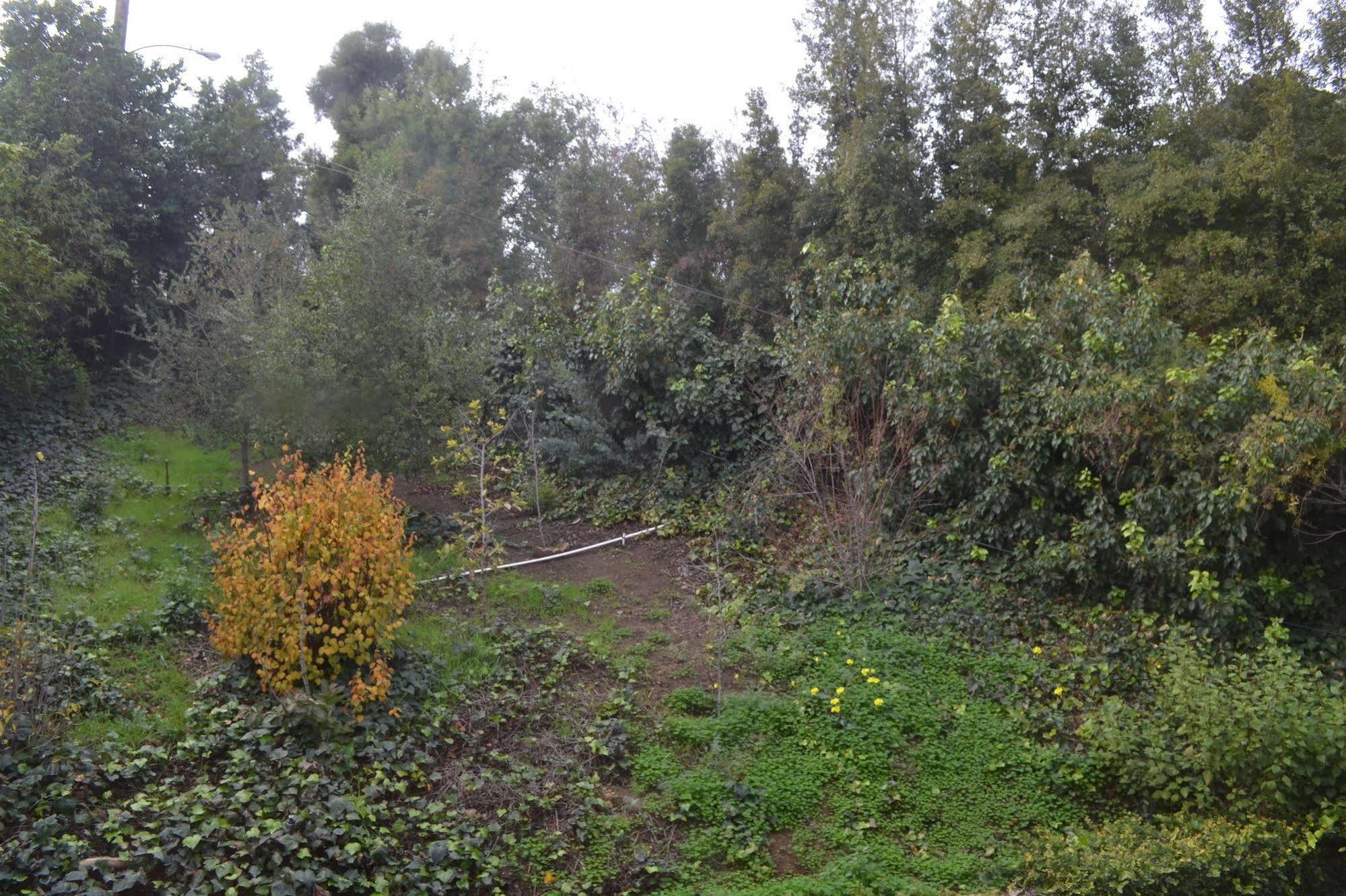 Bed And Breakfast In Hollywood Hills Los Angeles Luaran gambar